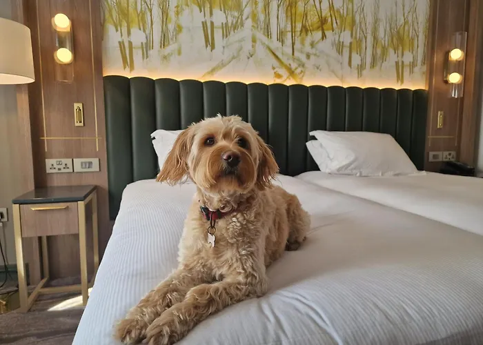 Hilton Dublin Kilmainham